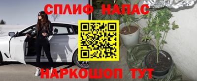 крисы Бузулук
