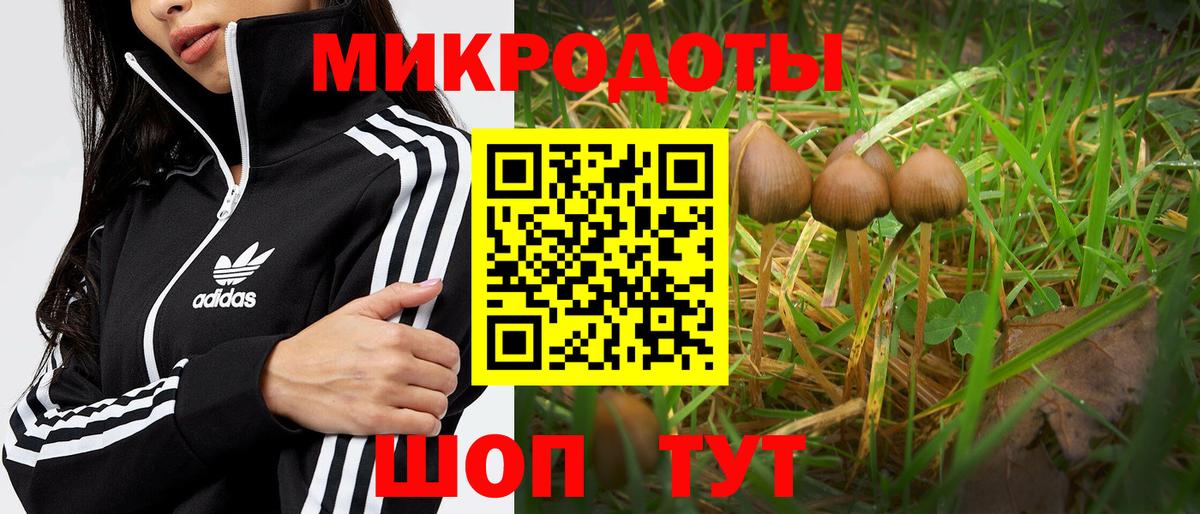 магазин продажи наркотиков  Псилоцибиновые грибы мицелий  Вход с VPN  Минусинск 